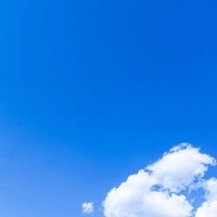 ゆる〜く雑談☆とにかく自由なオプ☆