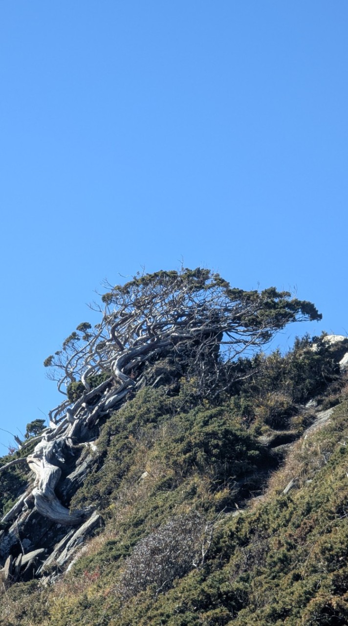 愛逛山登山