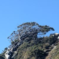 愛逛山登山