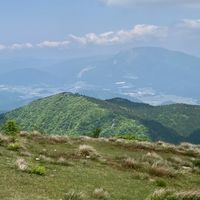 What’s going on? (the trails & the mountains)