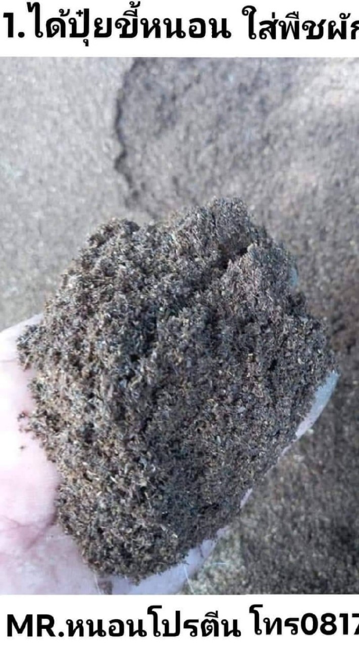 ผลิตปุ๋ยได้เองใช้ฟรีตลอดชีพด้วยหนอนโปรตีนแม่โจ้ ได้ปุ๋ย อาหารสัตว์