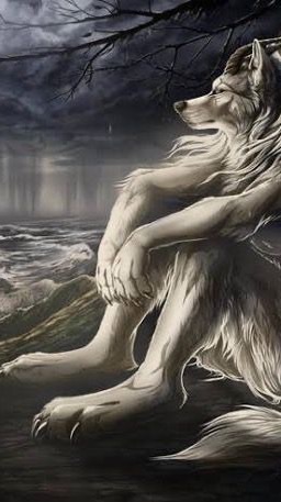 หมาป่าเดียวดาย🐺🖤⛓(RP)