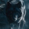 人狼ゲームを一緒に楽しもう！【初心者さん大歓迎！！！】