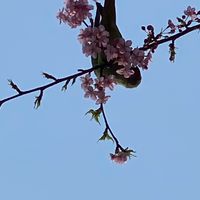 70歳以上集まれ〜