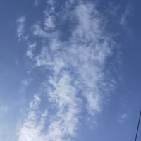 二姐手作