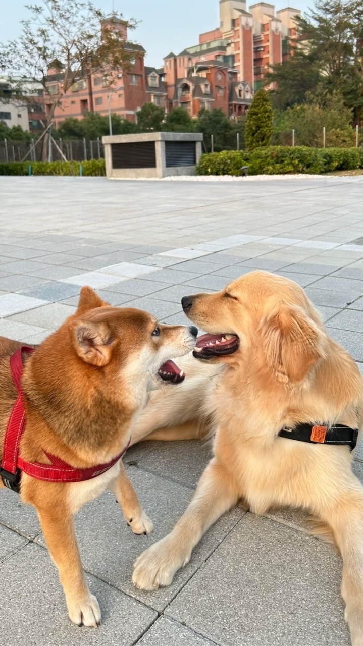 ➿Sunizan團購小社群➿