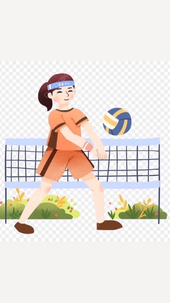 วอลเลย์บอลสีแสด67