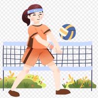 วอลเลย์บอลสีแสด67
