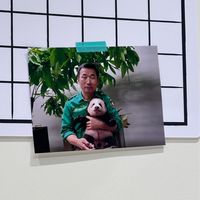 大間諜