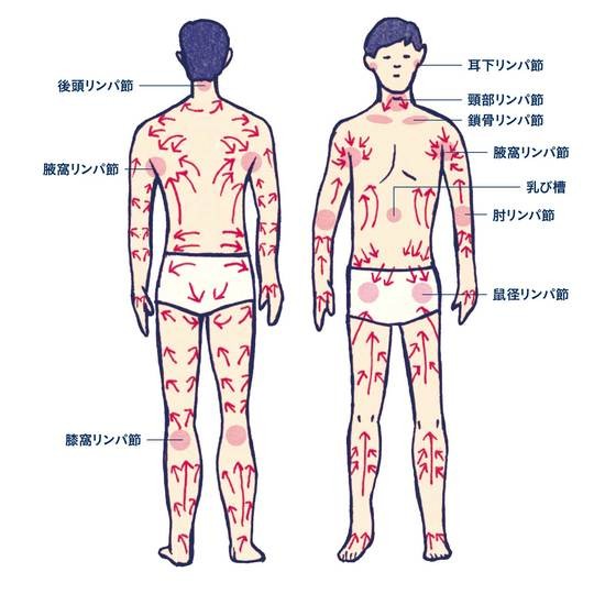 免疫力をアップさせる 夜にやりたいルーティン