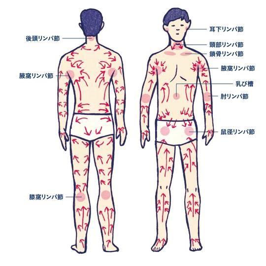 免疫力をアップさせる 夜にやりたいルーティン