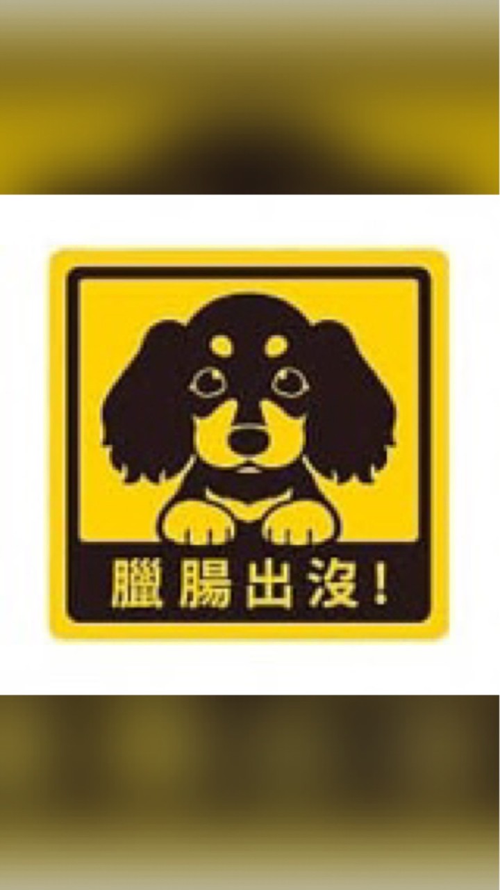 腸腸交流❤️中部😍