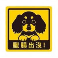 腸腸交流❤️中部😍