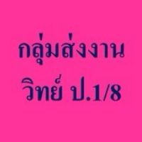 กลุ่มส่งงาน  วิทย์   ป.1/8