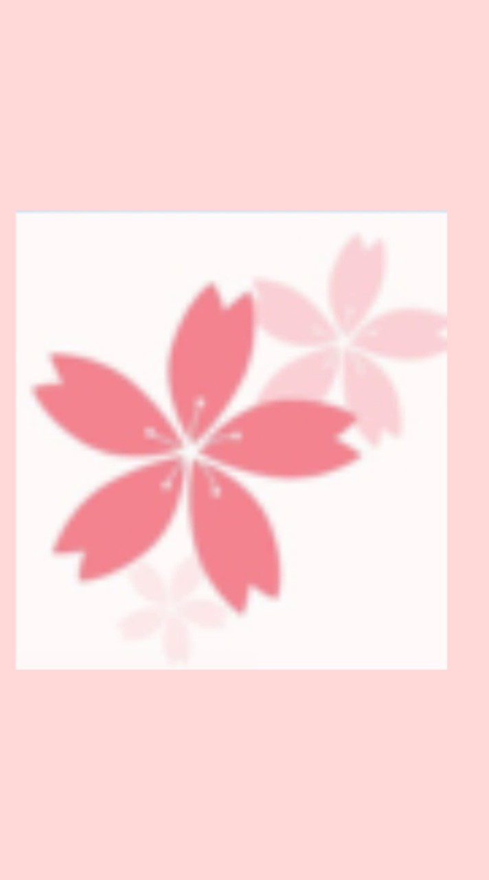 赤櫻之絆🌸
