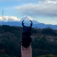 オオクワ採集座談会