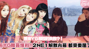 YG離職工作人員爆料！2NE1的解散是被弄的？列出5大點讓Black Jack一探究竟～