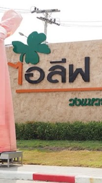 กลุ่มขาย ไอลีฟ คลองสี่ กลุ่มใหม่