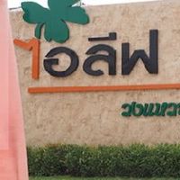 กลุ่มขาย ไอลีฟ คลองสี่ กลุ่มใหม่