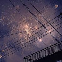 夢花火 𓋪◌ 【kmt激緩ハント】
