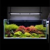 Aquatic Scape z