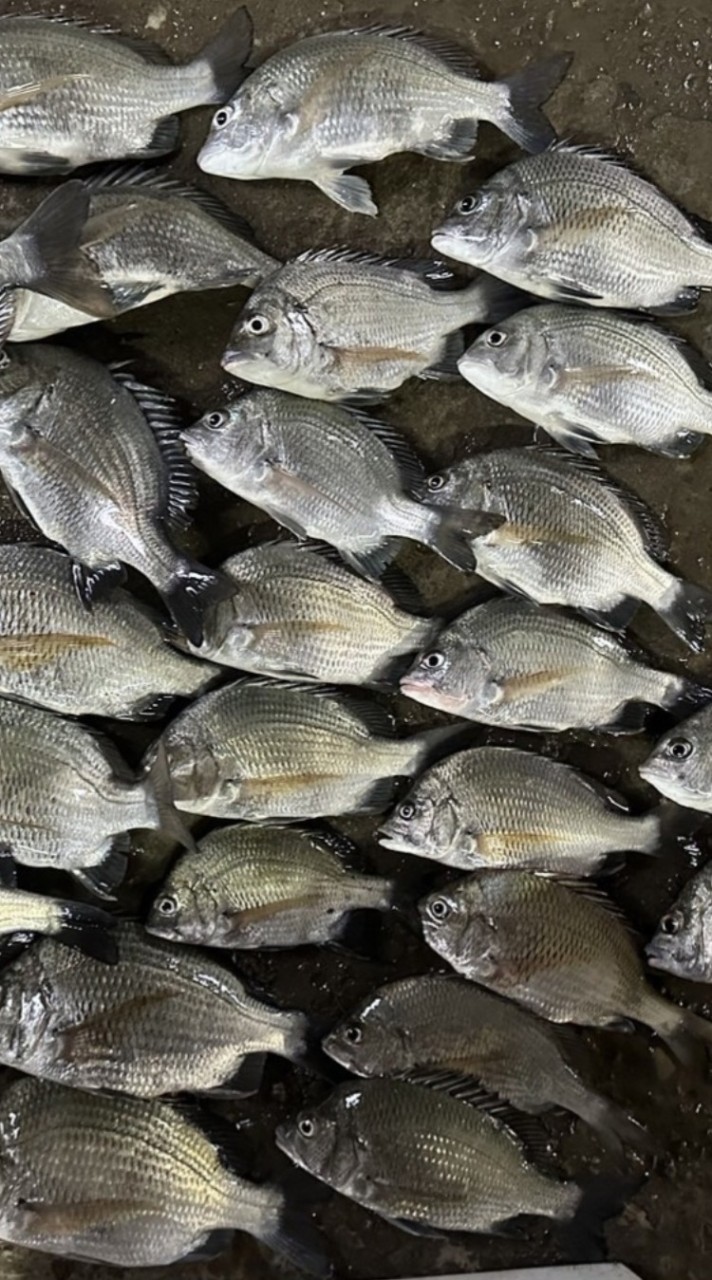 🇹🇼浪磯天涯❥๛🎣武弄團☘️