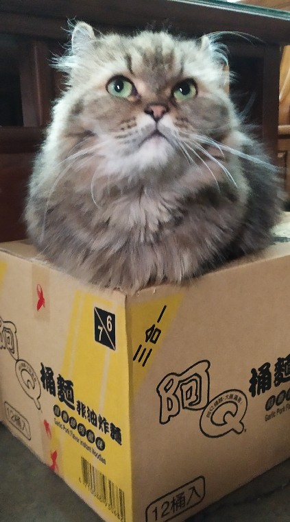 18家族