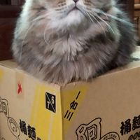 18家族