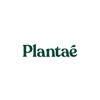 Plantae Affiliate Community (กลุ่มนายหน้า TikTok)