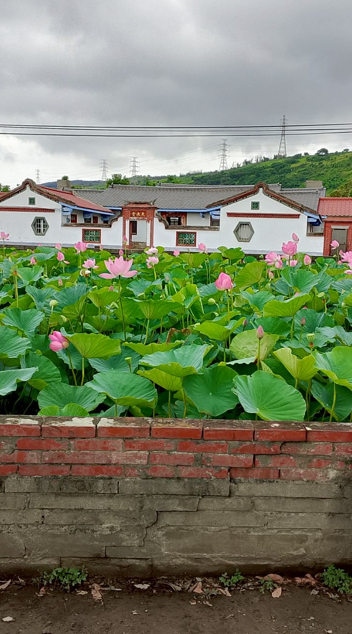 快樂清境農場遊