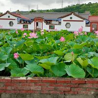 健康快樂遊