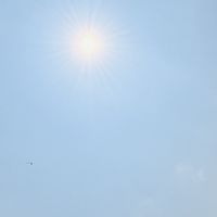 （INUEL 詔雯）三生萬物財富種子學習群