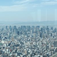 なんでもなりきり（3次元❌）
