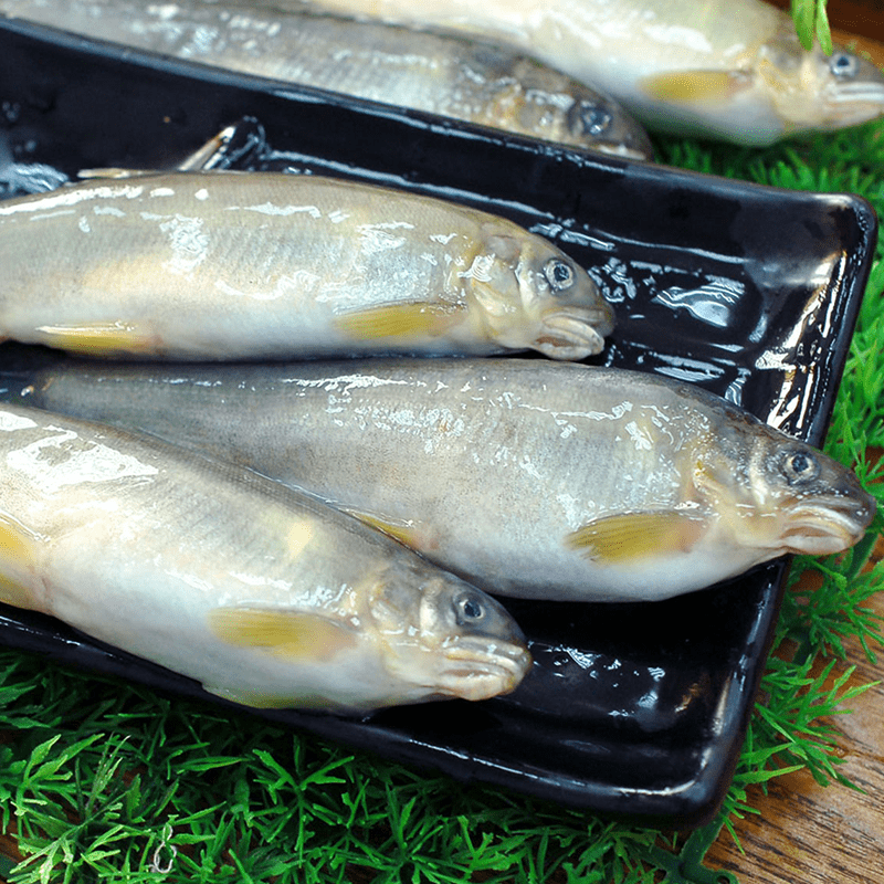 台灣高山冷泉爆卵香魚12尾，魚卵隻隻飽滿，濃郁卵香在嘴裡炸開，肉質鮮美，不須繁工料理，只要煎、烤、炸等簡單料理，就能吃到最棒的甘鮮原味，讓您大口咬下難以忘懷，吃過都說讚！