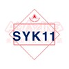 新甲艾美森🌍SYK11
