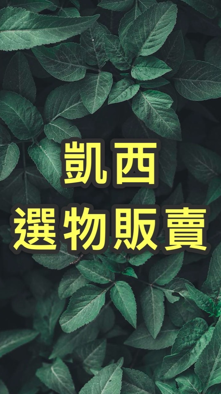《凱西》回報故障異常、兑幣機、徵檯主群