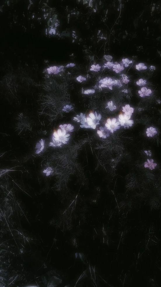 唯、堕ちて往く儘に　　꒷꒦　　スト緩愛重ハント