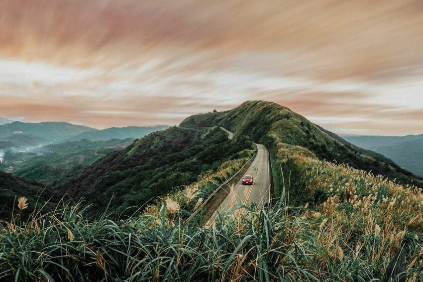 芒草季節、芒草