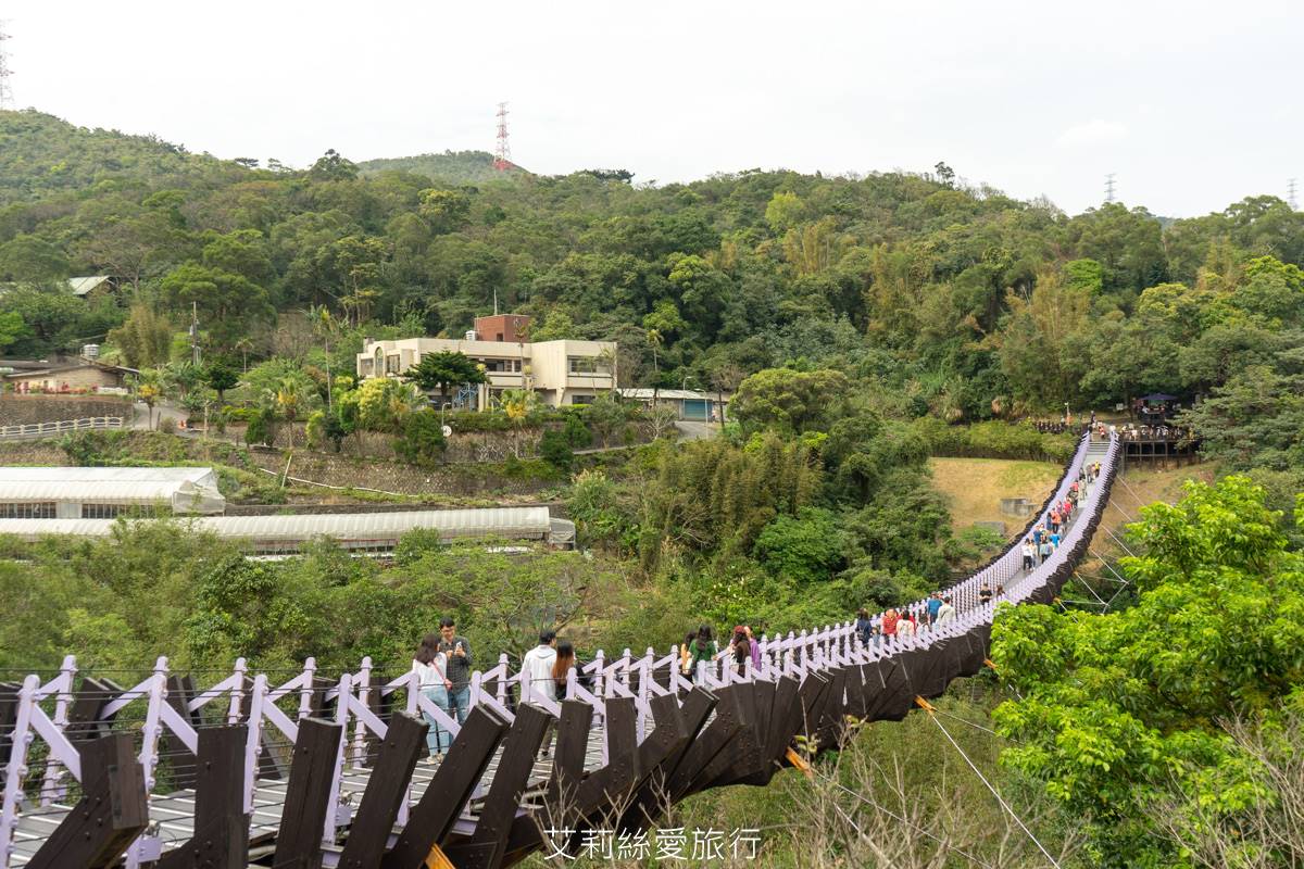 輕鬆好走不費力！內湖６條森林步道：80米「S型空中長廊」、紫色龍形吊橋