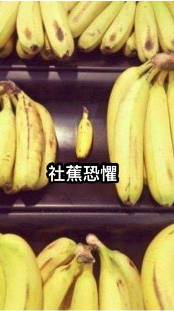 群組障礙群組🍂グループチャットが苦手の人のためのグループチャット