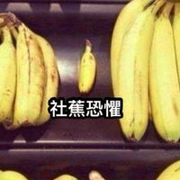 群組障礙群組🍂グループチャットが苦手の人のためのグループチャット