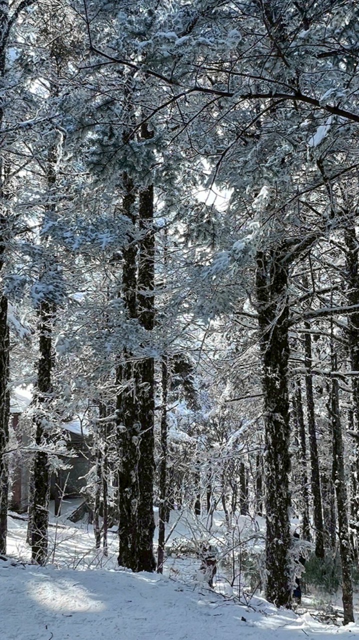 ︎︎◝✩在深空養男人