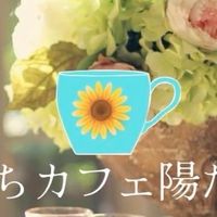 🌳陽だまりの森🌳