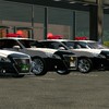 カーパーキング警察車両の会