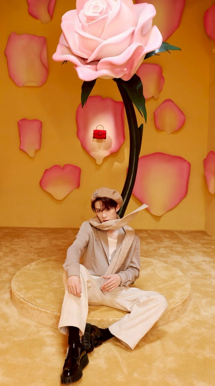 JC-T檀🦔의💛玫瑰
