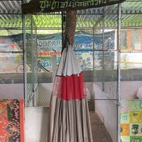 แนะนำรักษาไก่ชนพื้นเมืองฉบับสิงห์สารวัตร
