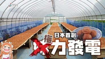 以梅乾副產品發電，為400家庭送暖