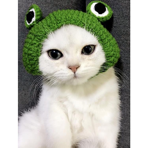 貓咪青蛙頭套寵物變裝帽寵物手工編制毛線帽子幼貓頭套