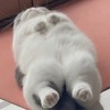 Switch 樹莓派 Tinfoil 教學資源站