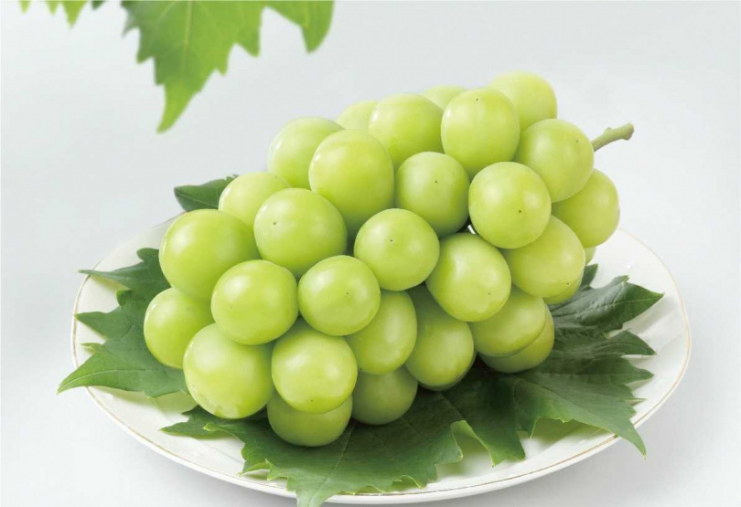 透明淺綠色的晴王麝香葡萄（シャインマスカット）肉質清脆，皮薄又無籽，可直接連皮吃！